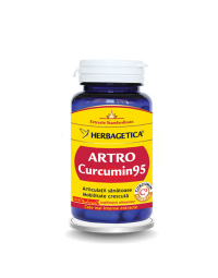 Artro curcumin x 30 caps.