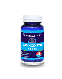 Ginkgo 120 stem, 60 capsule
