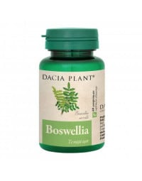 Dacia Plant Boswellia, 60 cpr.