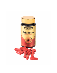 ON Echinacea,  590 mg , 60 caps