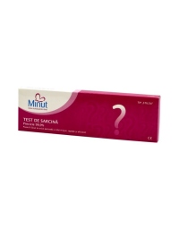 MINUT Test sarcina tip stilou