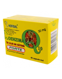 Coenzima Q10 in ulei de catina Forte 30 mg, 40 capsule, Hofigal