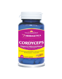 Cordyceps 10/30/1 x 30 caps.