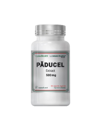 Paducel Extract, 500 mg, 60 capsule, Cosmo Pharm