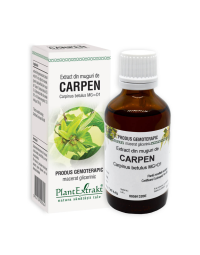 PLE Extract Muguri carpen, probleme respiratorii, 50 ml