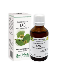 Extract din muguri de Fag, 50 ml, Plant Extrakt