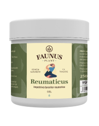 Gel Reumaticus pentru confortul articulatiilor si al muschilor, 250 ml, Faunus Plant