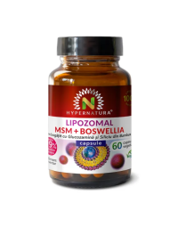 Lipozomal MSM + Boswellia, 60 capsule, Hypernatura