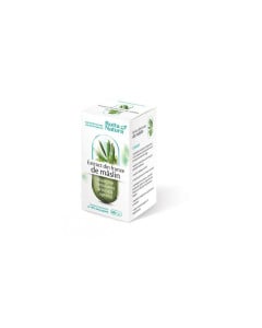 Extract din frunze de maslin 500 mg, 60 capsule, Rotta Natura