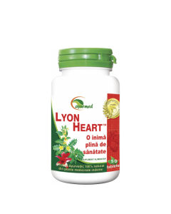 Lyon Heart, 50 tb