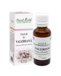 Tinctura de Valeriana, 30 ml, Plant Extract