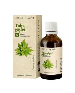 DACIA PLANT Tinctura talpa gastei, 50 ml