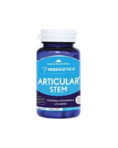 Articular Stem x 30 cps.