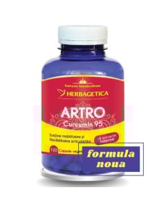 HERBAGETICA Artro Curcumin 95, 120 capsule