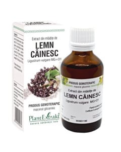 PLE Extract din Mladite lemn cainesc, detoxifiere, 50 ml