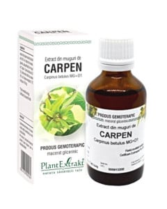 PLE Extract Muguri carpen, probleme respiratorii, 50 ml