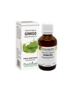 Ginkgo Biloba muguri, 50 ml Plant Extrakt Cluj
