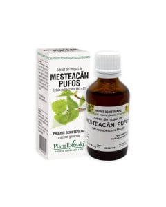 Plant Extrakt Mesteacan pufos, 50 ml