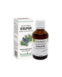 Plant Extrakt Mladite de ienupar, 50 ml
