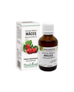 Plant Extrakt Mladite de maces, 50 ml