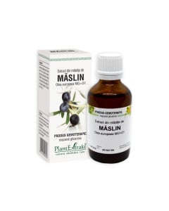 Plant Extrakt Mladite de maslin, 50 ml