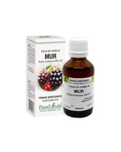 Plant Extrakt Mladite de mur, 50 ml