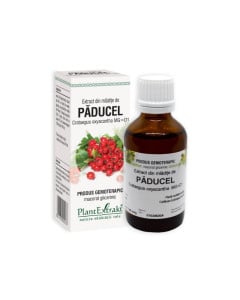 Plant Extrakt Mladite de paducel, 50 ml