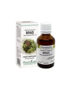 Plant Extrakt Muguri de brad, 50 ml
