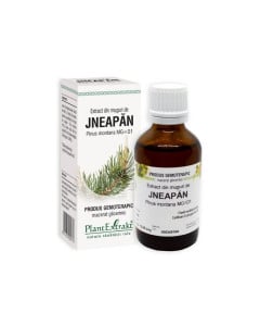 Plant Extrakt Muguri de jneapan, 50 ml