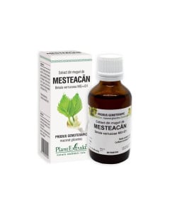 Plant Extrakt Muguri de mesteacan, 50 ml