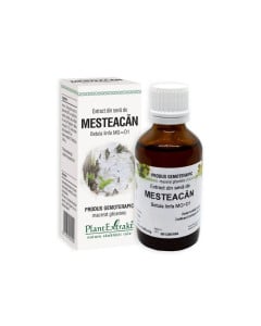 Plant Extrakt Seva de mesteacan, 50 ml