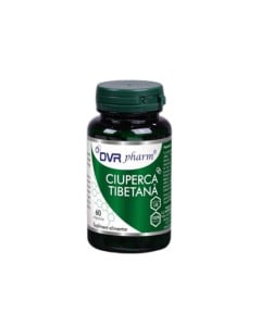 DVR Pharm Ciuperca tibetana, 60 capsule
