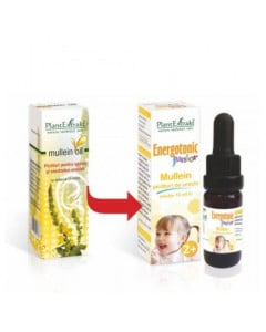 PlantExtrakt Energotonic junior Mullein picaturi de urechi, 15ml