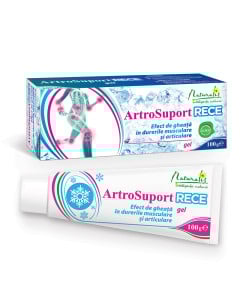 Naturalis ArtroSuport RECE gel, 100 g