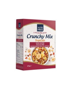NutriFree Fulgi de cereale si mix tropical, 375g
