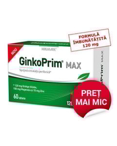 W GinkoPrim Max 120 mg, 60 tablete