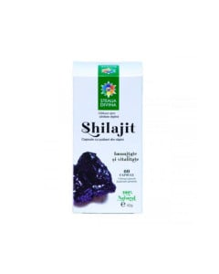 Steaua Divina Shilajit, 60 capsule