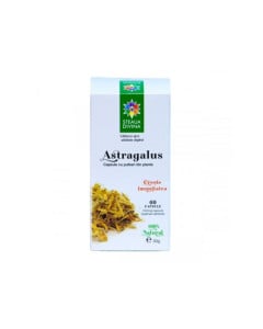 Astragalus, 60 capsule, Steaua Divina