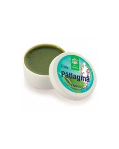 Crema Patlagina, 20g, Steaua Divina
