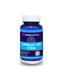 Ginkgo 120 stem x 30 caps.