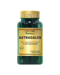 Cosmopharm Premium Astragalus Extract 9000mg, 30 capsule