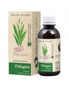 Dacia Plant Patlagina sirop, 200 ml