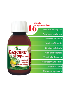 Gascure Sirop, 100 ml