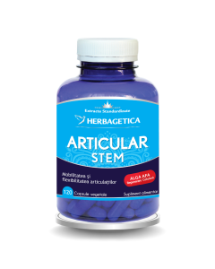 Articular Stem , 120 capsule, Herbagetica