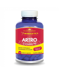 HERBAGETICA Artro Curcumin 95, 120 capsule