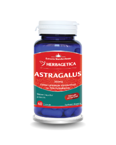 Astragalus, 500 mg, 60 capsule, Herbagetica