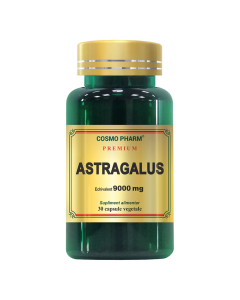 Cosmopharm Premium Astragalus Extract 9000mg, 30 capsule