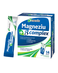 Magneziu B complex, 14 plicuri orodispersabile, Benesio