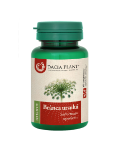 Dacia Plant Branca ursului, 60 capsule