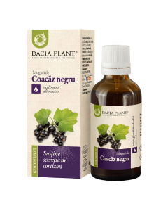 DACIA PLANT Coacaz negru muguri Gemoderivat, 50 ml